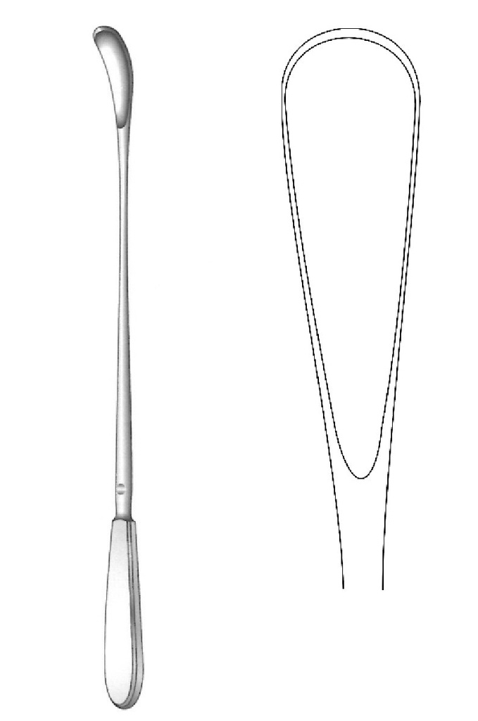 Cureta para óvulos Wallich, ancho = 20 mm