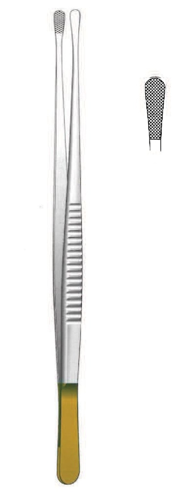 Pinza para tejido Wangensteen, TC Gold - longitud = 15 cm / 6"