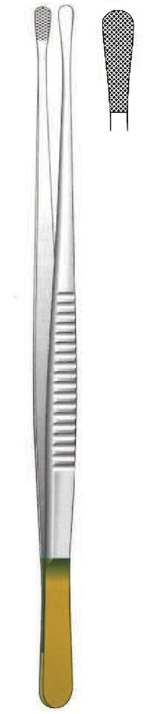 Wangensteen fabric clamp, Gold TC - Length = 25 cm / 10 "