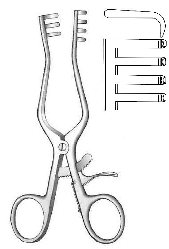 Retractor de Weitlaner, desafilado, dientes de 3:4 - longitud = 18 cm / 7"