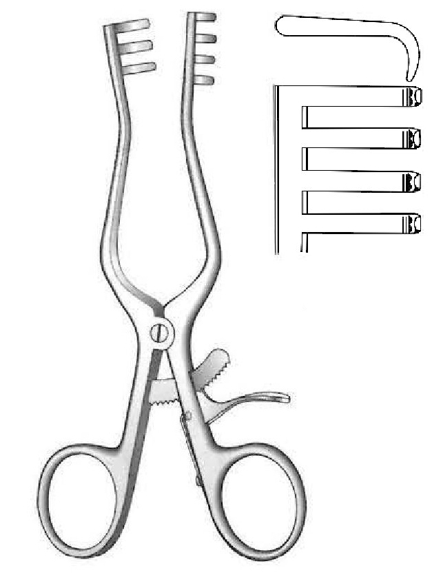 Retractor de Weitlaner, desafilado, dientes de 3:4 - longitud = 24.5 cm / 9-1/2"