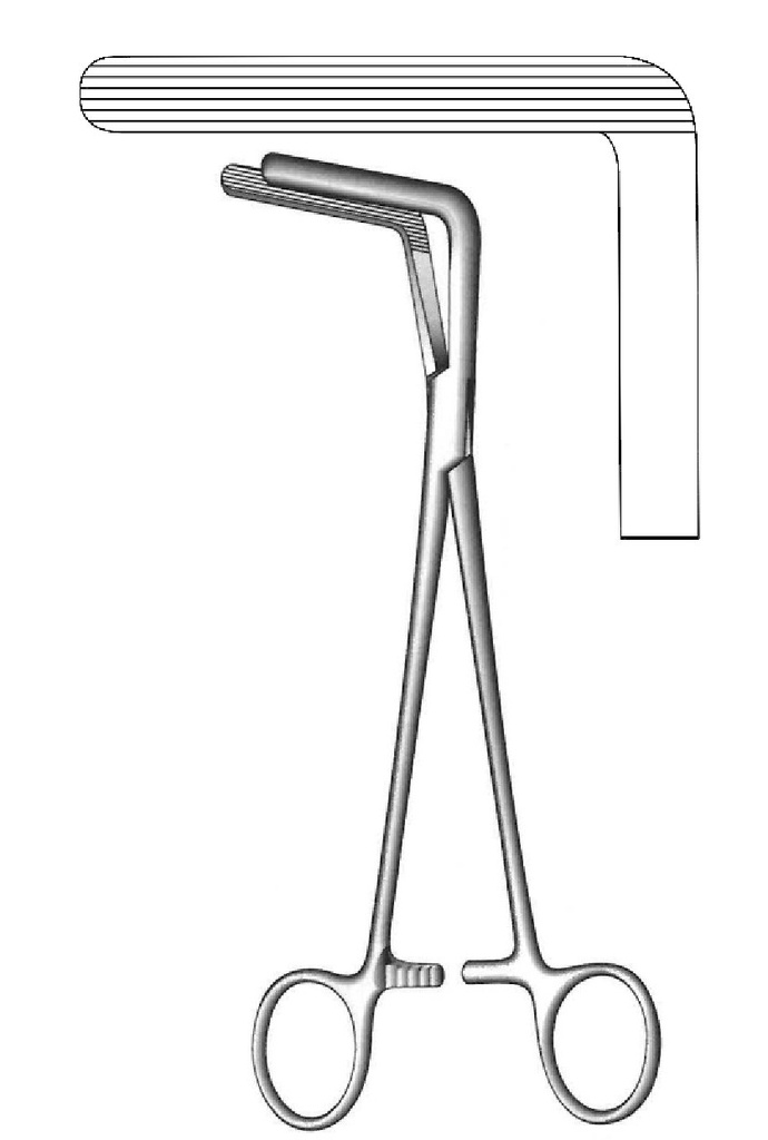 Wertheim-Cullen vaginal clamp