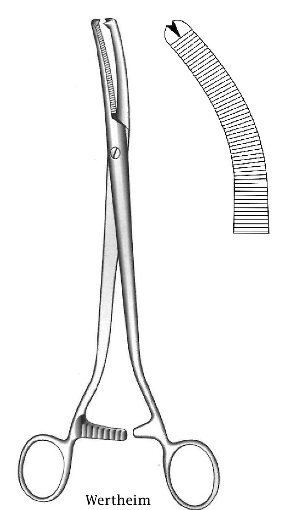 Wertheim hysterectomy clamp, teeth = 1: 2, extra long