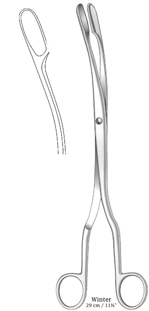 Pinza para colgajos de cuero cabelludo de óvulos Winter, curva, figura 1