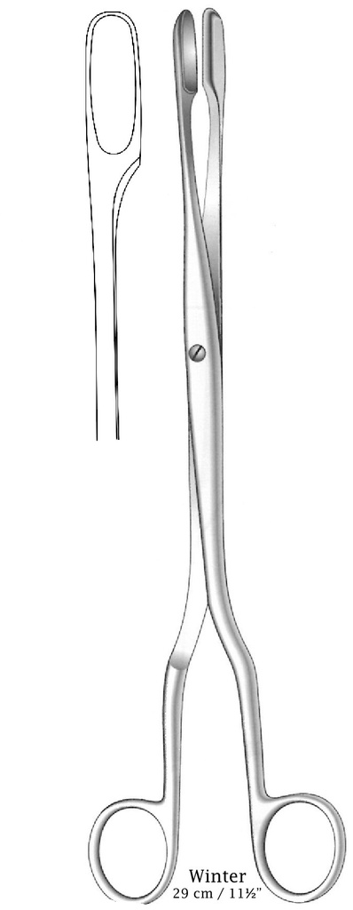 Pinza para colgajos de cuero cabelludo de óvulos Winter, recta, figura 1