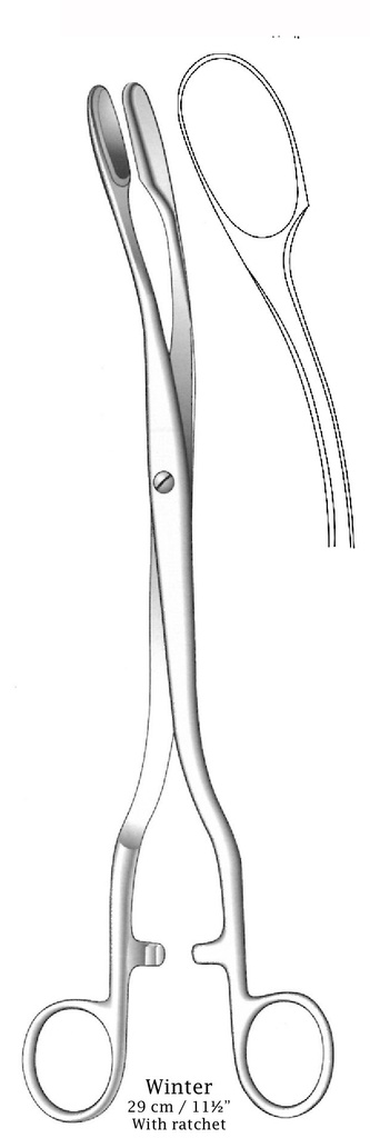 Pinza para colgajos de cuero cabelludo de óvulos Winter con trinquete, curva, figura 2