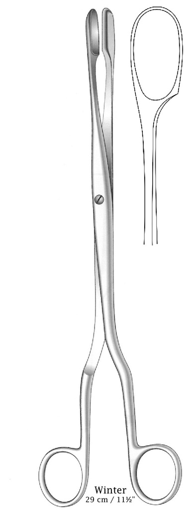 Winter Pessary Scalp Flap Forceps, straight, figure 3