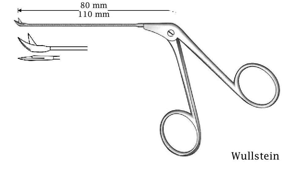 Micro Wullstein ear scissors, curved up - Axis length = 110 mm