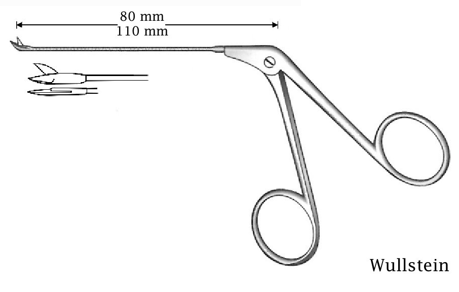 Micro Wullstein ear scissors, straight - Axis length = 110 mm