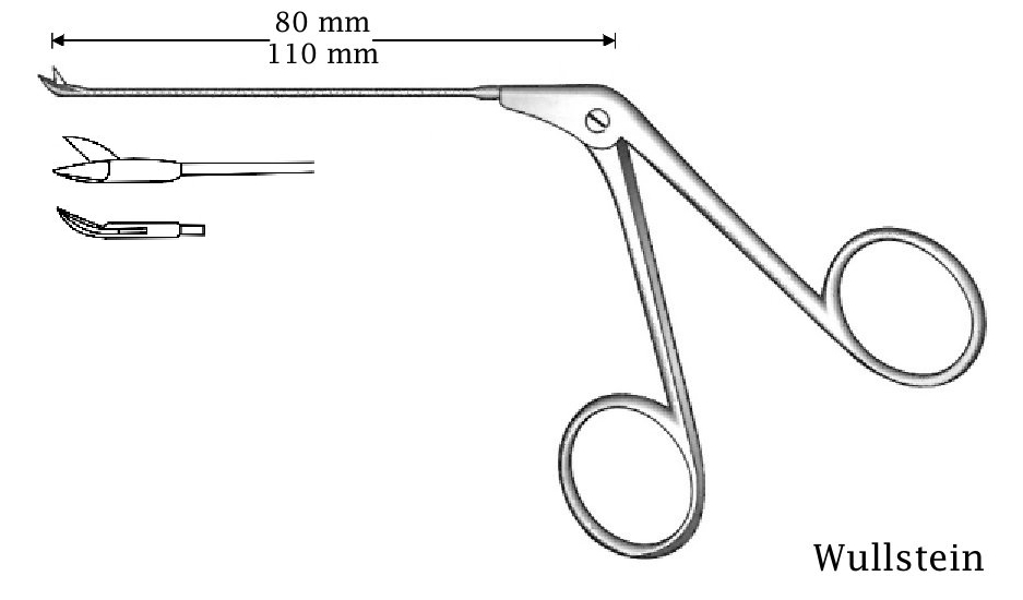 Micro Wullstein ear scisso
