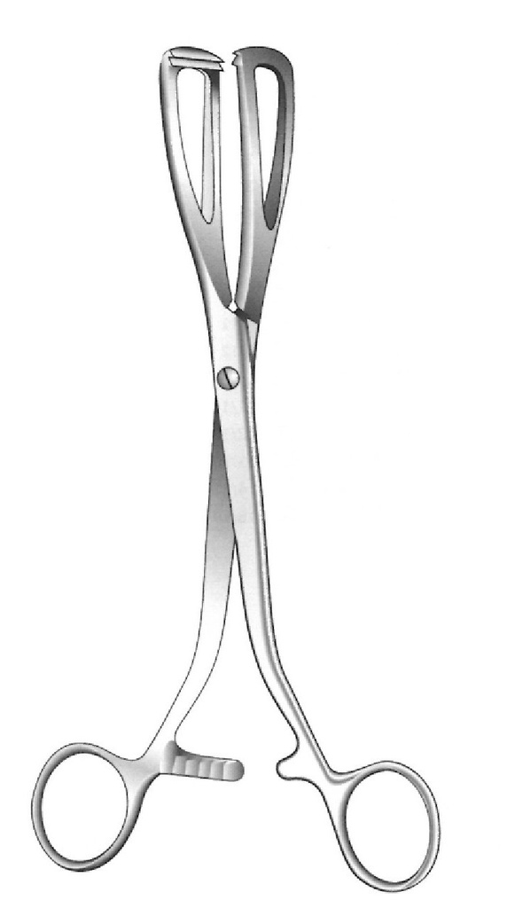 Young lithotomy clamp