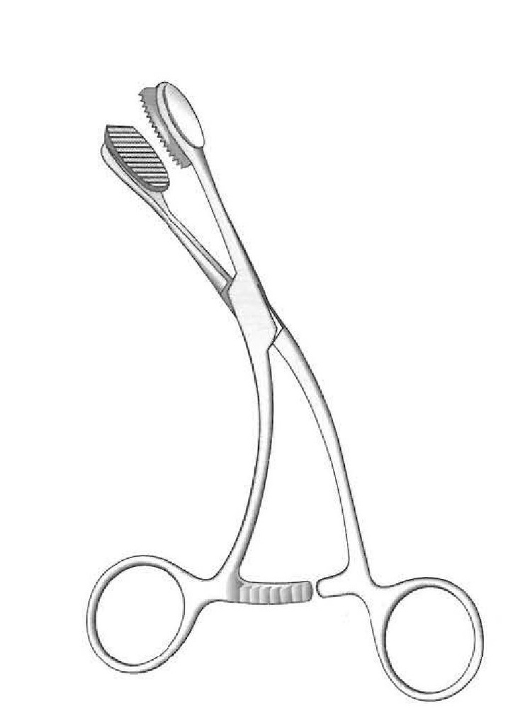 Pinza de sujeción de lengua Young, curva - longitud = 17 cm / 6-3/4"