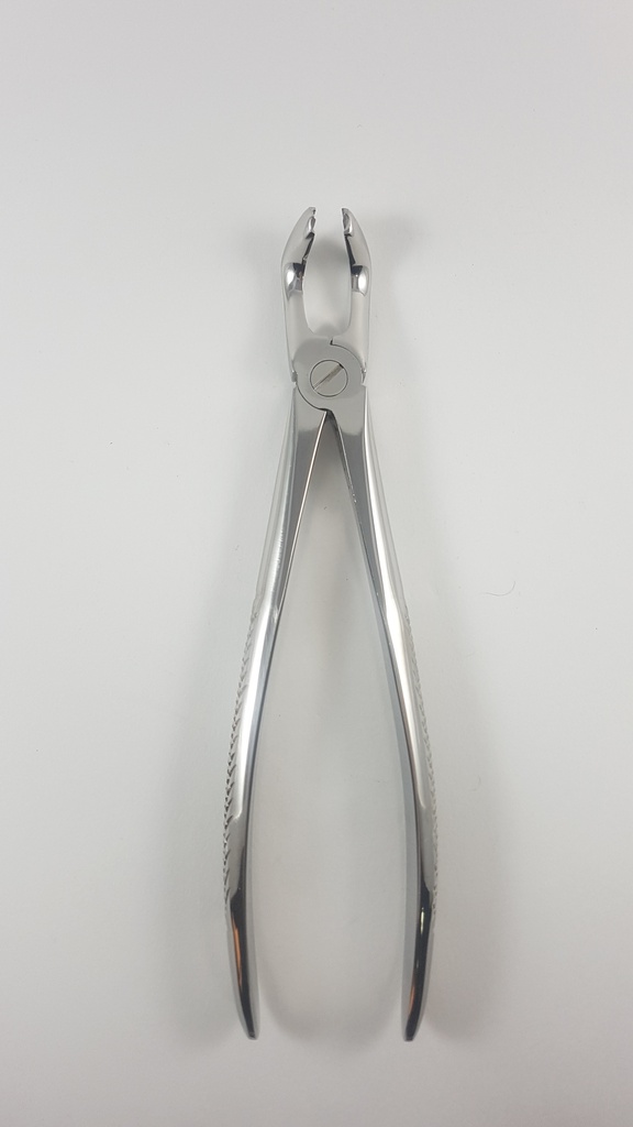 Forceps Figura 79. Para Extracción, Cordales Inferiores