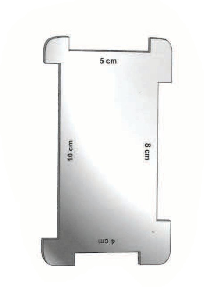 Dermatomo Schink Premium, just plaque to smooth the skin