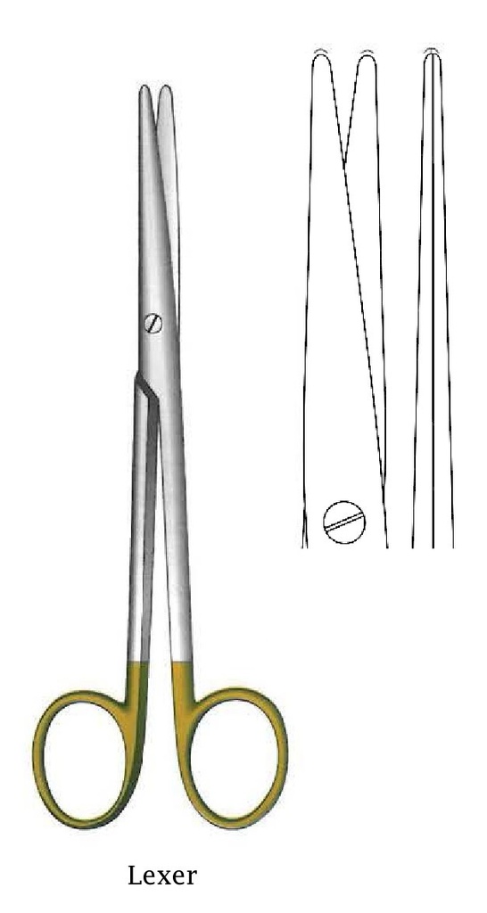 Premium, straight lexer scissors, GOLD TC - Length = 16 cm / 6-1 / 2 "
