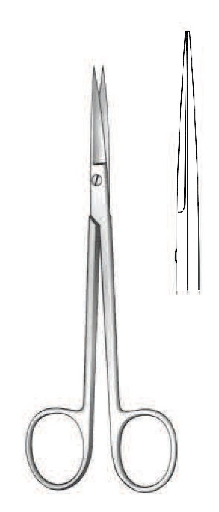 Premium Sanvenero dissection scissors, straight