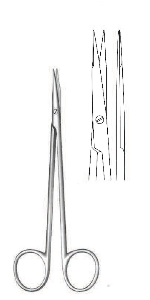 Tijera de disección Reynolds premium, recta - longitud = 15 cm / 6"