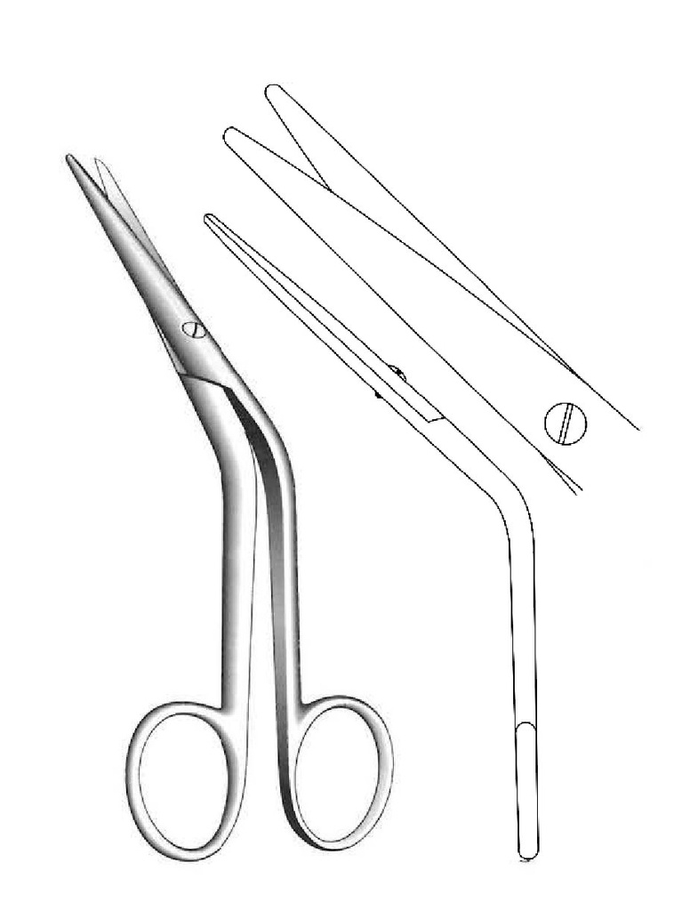 Premium Cottle scissors, angled - length = 16 cm / 6-1 / 2 "