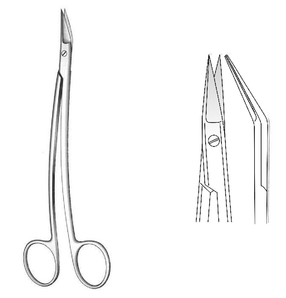 Tonsil for Pelium Penal, folded, sharp - length = 17 cm / 6-3 / 4 "