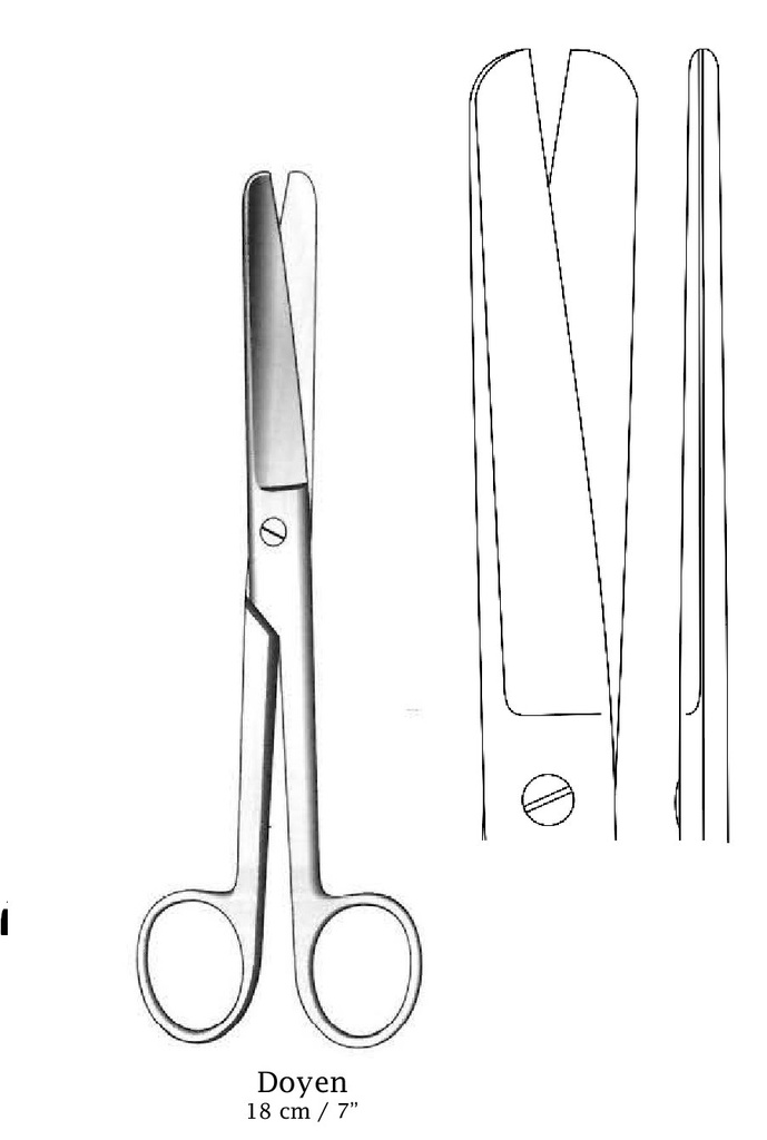 Tijera Doyen premium, recta - longitud = 18 cm / 7"