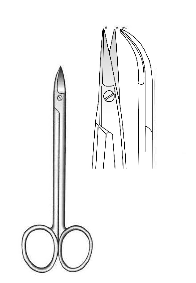 Premium quinby scissors, curved