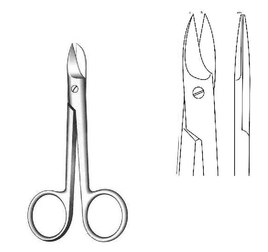 Tijera Corona-Beebee premium, recta - longitud = 10 cm / 4"