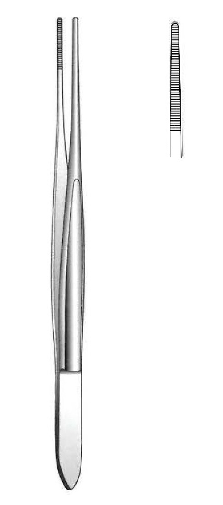 Pinza para disección Cushing premium, recta - longitud = 17.5 cm / 7"
