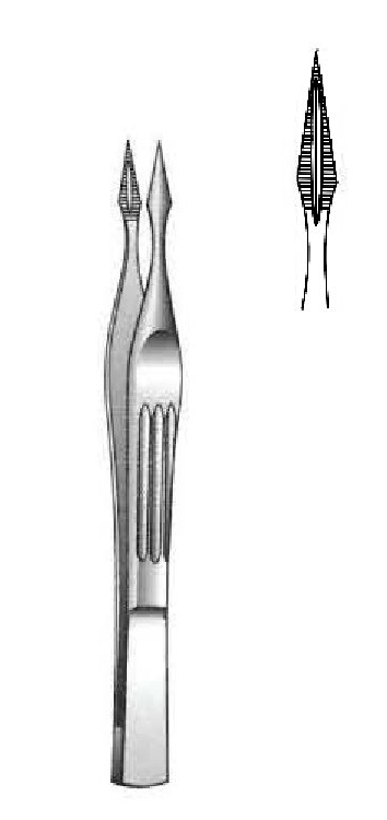 Pinza para astillas de Walter-Carmalt premium, recta