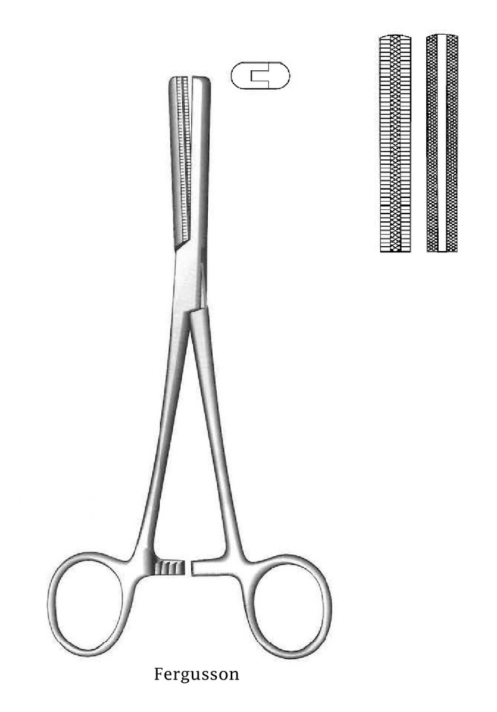 Fergusson Premium angiotriba clamp, straight - length = 17 cm / 6-3 / 4 "