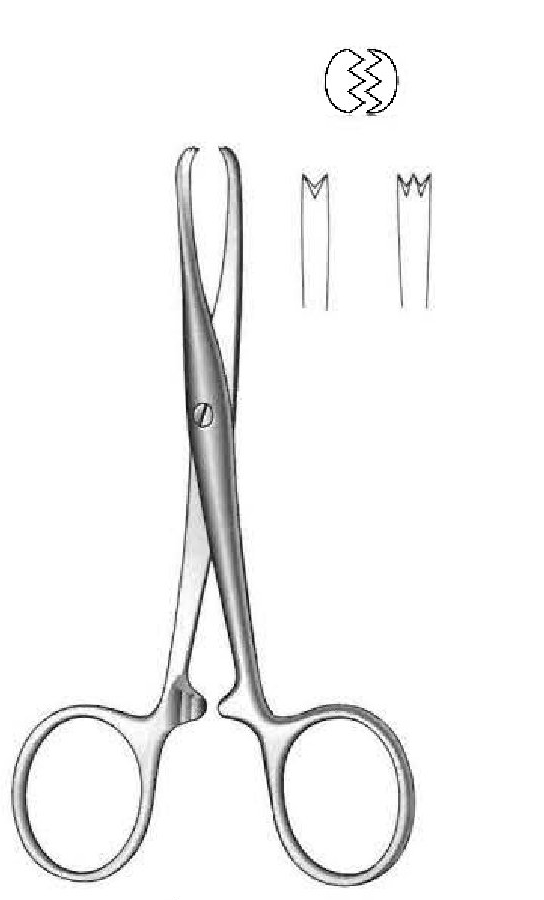 Chaput premium hemostatic forceps - length = 13 cm / 5"
