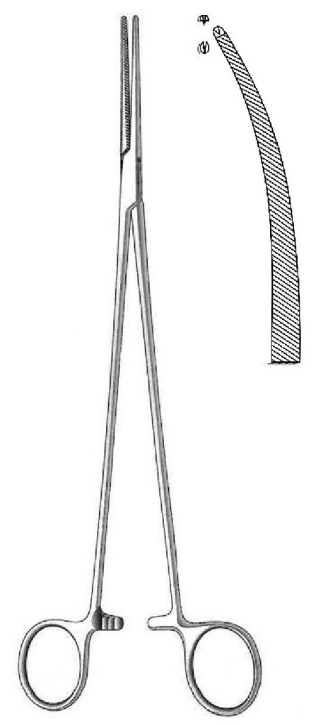 Bengolea premium artery forceps, curved, teeth = 1:2 - length = 26 cm / 10-1/4"