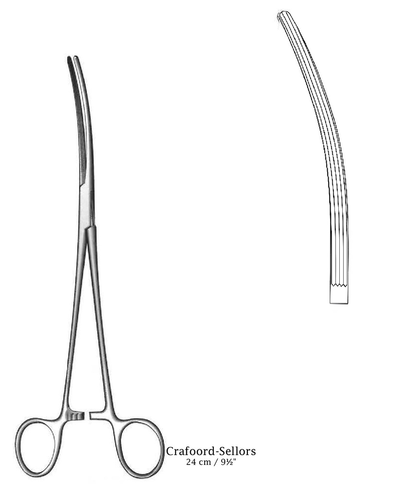 Pinza para arteria Crafoord-Sellors premium, ligeramente curvado - longitud = 24 cm / 9-1/2&quot;