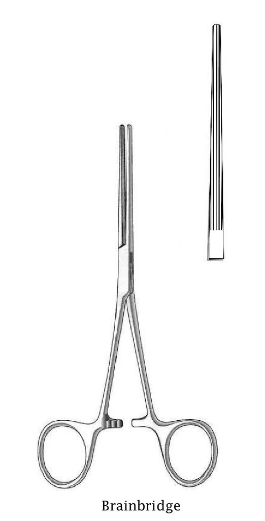 Pinza arteria Bainbridge premium - longitud = 15 cm / 6", recta