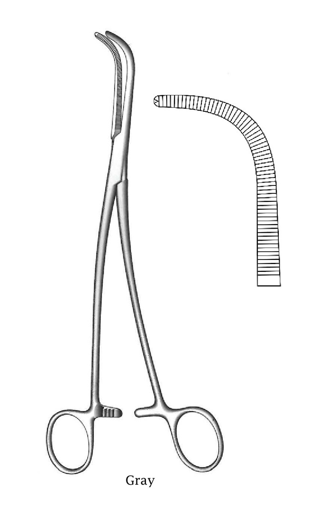 Gray Premium biliary calculation clamp, 1x2 teeth - length = 22 cm / 8-3 / 4 "