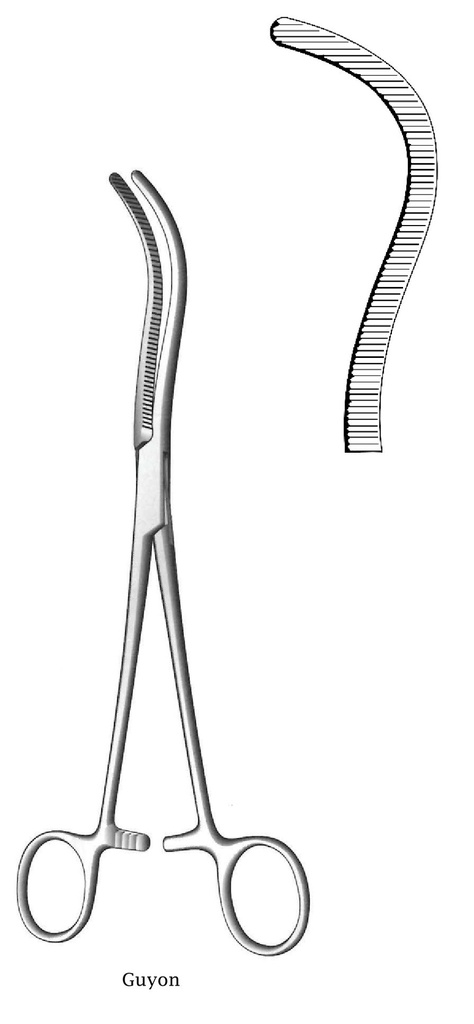 Pinza para pedículo renal Guyon premium - longitud = 22 cm / 8-3/4"