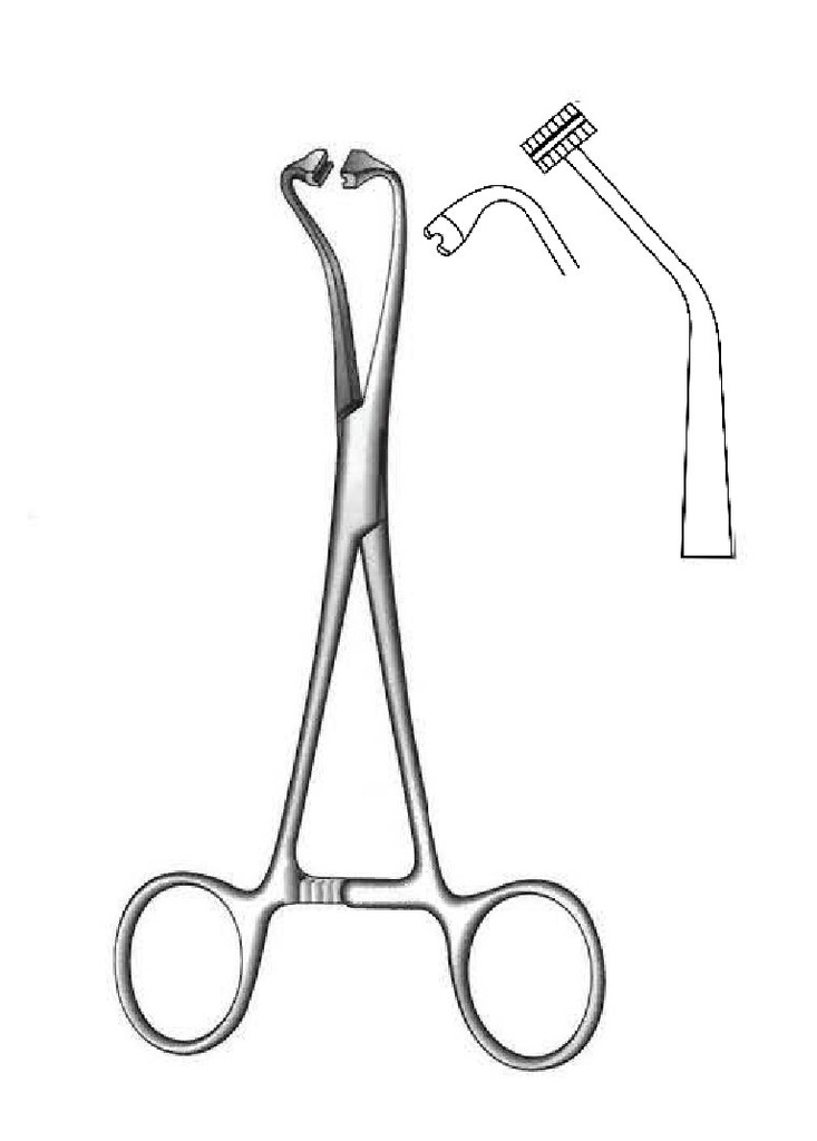 Pinza para toallas de Peer's-Bertram premium