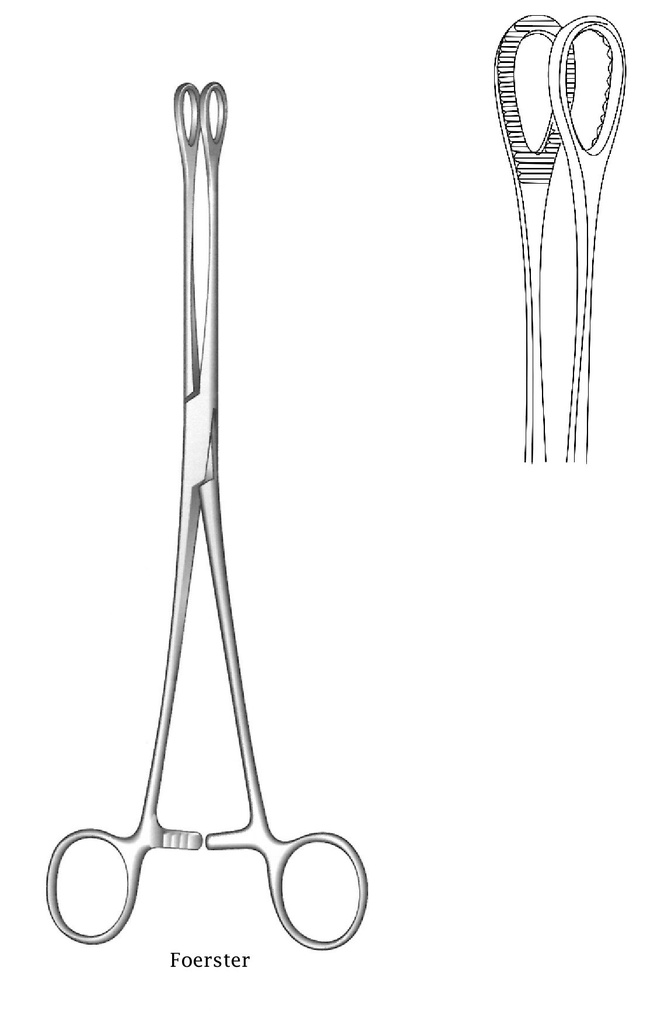 Pinza para Esponjas Foerster con Punta Recta, Mandíbulas Dentadas Ovaladas y Fenestradas - Longitud de 25 cm