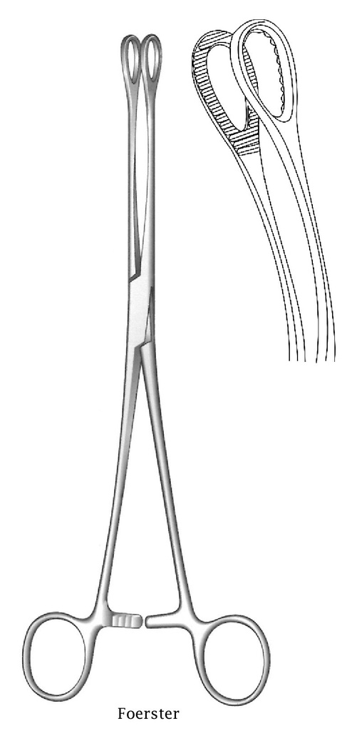 Pinza de sujeción para esponjas Foerster premium, dientes dentados, curva - longitud = 18 cm / 7"
