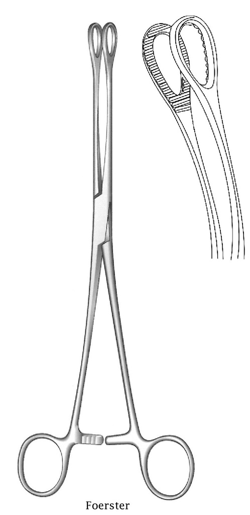 Pinza de sujeción para esponjas Foerster premium, dientes dentados, curva - longitud = 20 cm / 8"