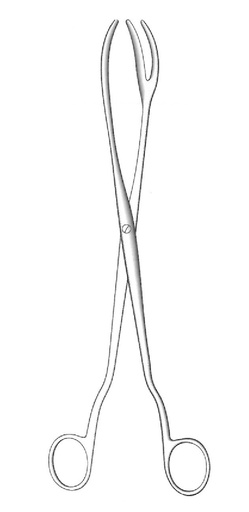 [IU-06204P] Pinza de esterilización premium - longitud = 30 cm / 12"
