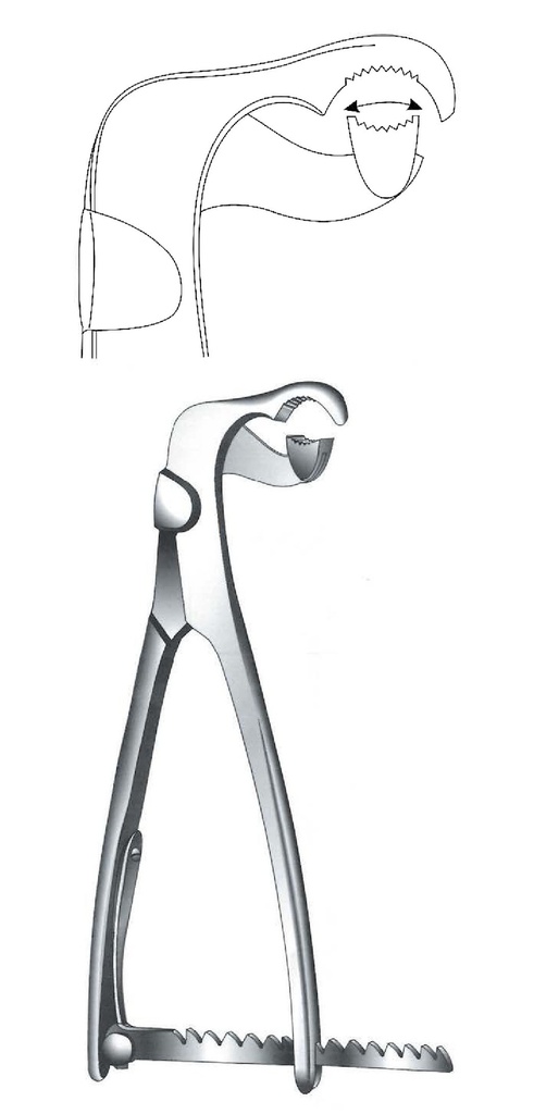 Fastening clamp for Lambotte Premium bones, angled - length = 19 cm / 7-1 / 2 "