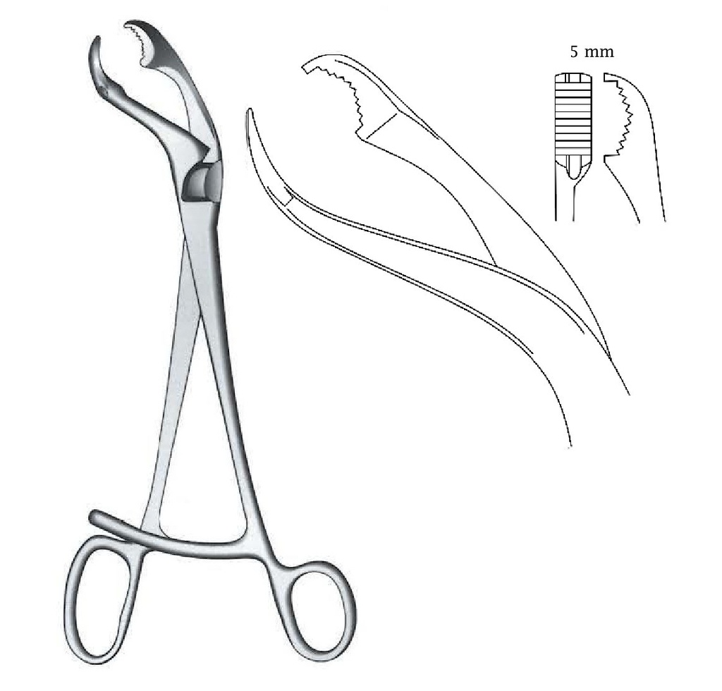 Premium Verbrugge Bone Holding Forceps - length = 17.5 cm / 6-3/4"