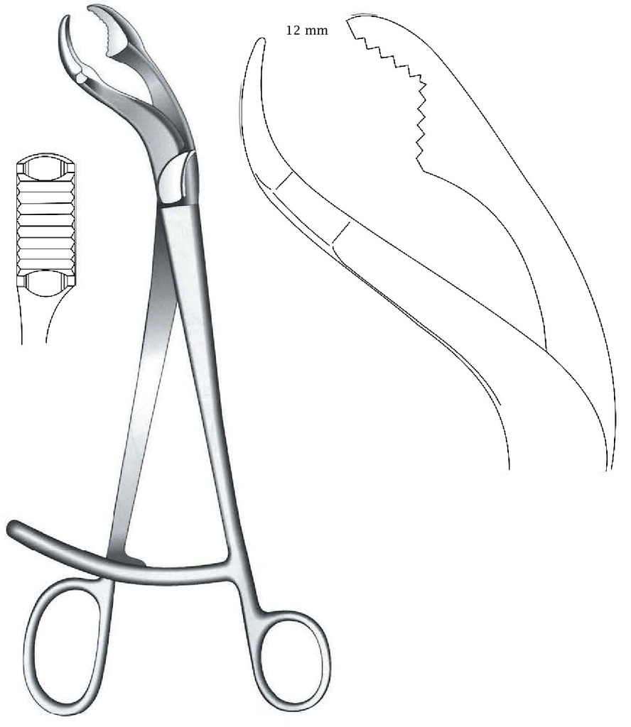 Pinza de sujeción para hueso Verbrugge premium - longitud = 27 cm / 11"