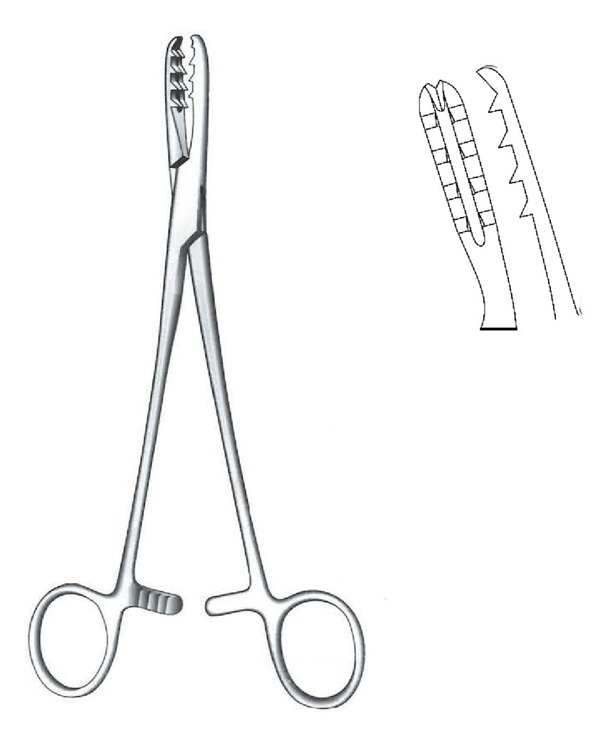 Pinza sujeción de hueso Bircher-Ganske premium, curva - longitud = 20 cm / 8"