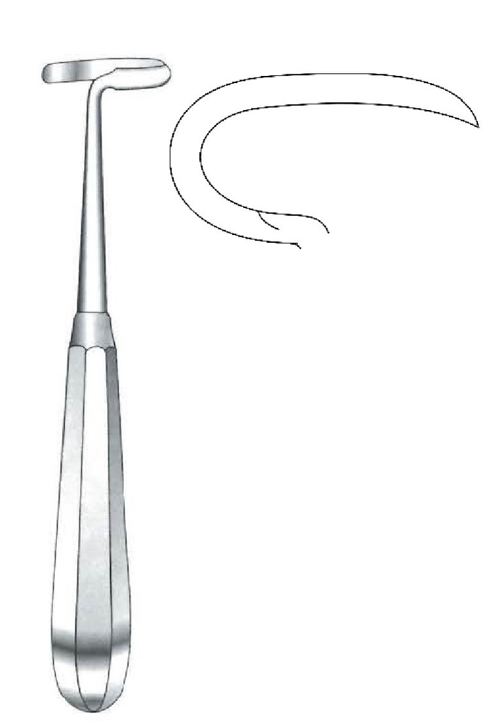 Legra Doyen premium para adultos, derecha - longitud = 17 cm / 6-3/4"