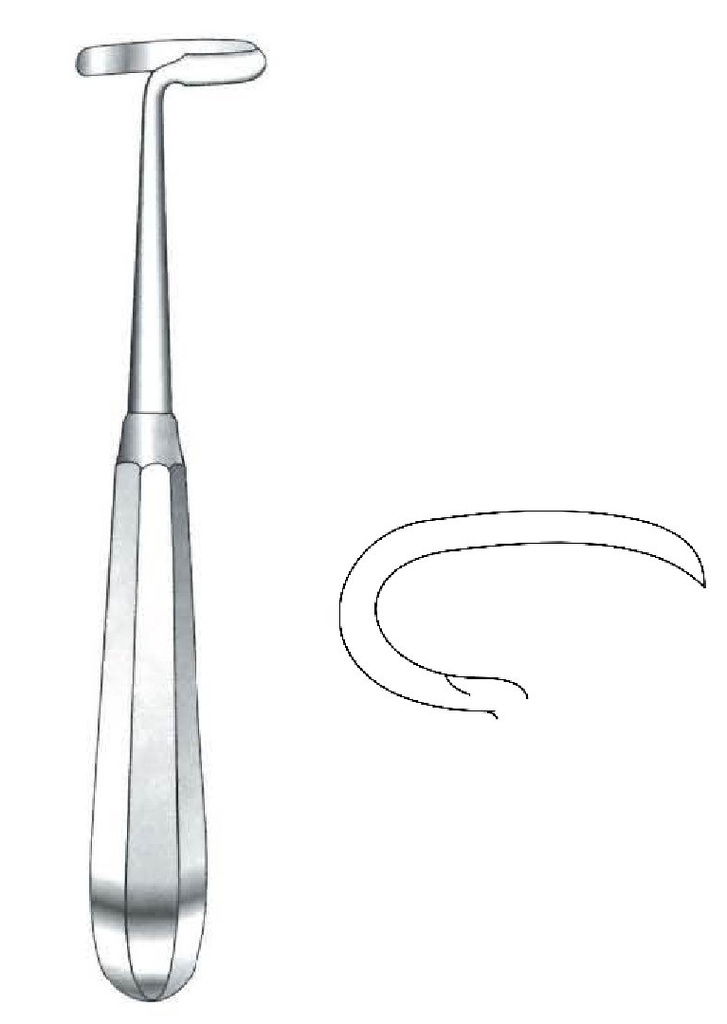 Legra Doyen premium para niños, derecha - longitud = 17 cm / 6-3/4"