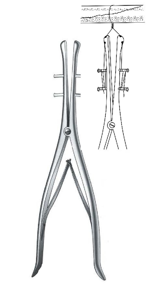 Tensor de alambre hueso Demel premium - longitud = 28 cm / 11"