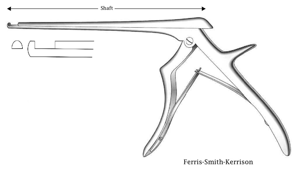 Pinza para disco intervertebral Ferris-Smith-Kerrison premium - longitud del eje = 18 cm, corte hacia arriba, ancho de punta = 5 mm