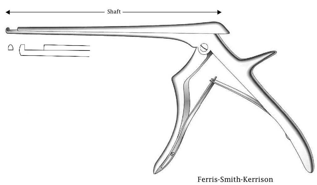 Pinza para disco intervertebral Ferris-Smith-Kerrison premium - longitud del eje = 20 cm, corte hacia arriba, ancho de punta = 2 mm