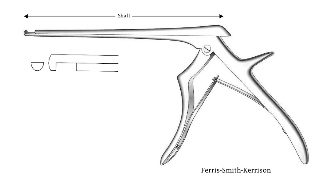 Intervertebral disc pint Ferris-Smith-Kerrison Premium, downstream, tip width = 5 mm-Axis length = 15 cm